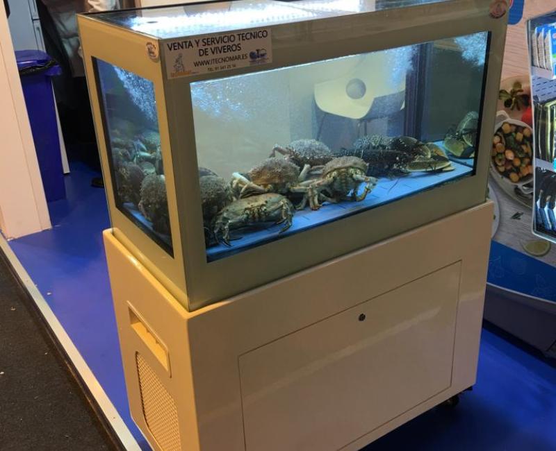 Vivero_Mercury_VTR_Blanco_1 - Acuarios y Viveros de marisco Tecnomar